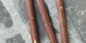Designer Walking Sticks