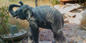 Granite Stone Elephant Statue