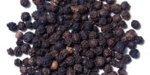 Black Pepper