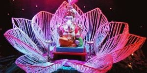 Festival Party Organizer