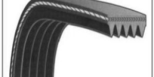Poly V Belt