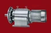 Heavy Duty Motor