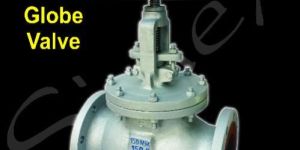 Cs Globe Valve