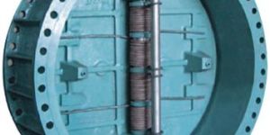 Spring Check Valve