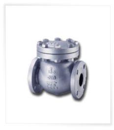 Lift Check Valves