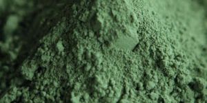 Nopal Cactus Powder