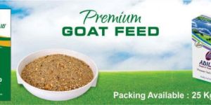 Goat Feeds