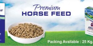 Horse Feeds