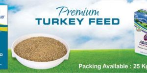 Turkey Feeds