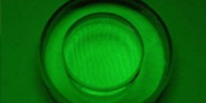 Echo Friendly Monochromatic Light Unit