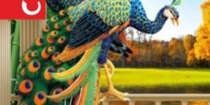 17cm X 27cm Classic Long Notebook