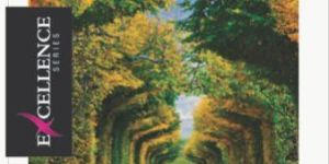 19cm X 15.5cm My Test Notebook