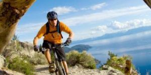 29.7cm X 21cm A4 Long Notebook