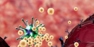 Deluxe Practical Notebook