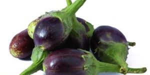 BRINJAL CLUSTER SEEDS