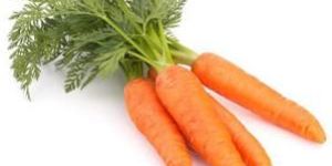 Carrot