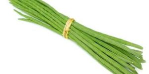 Drumstick