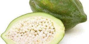 Papaya