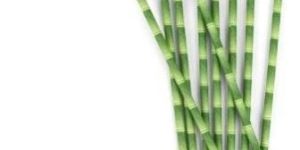 Paper Straws