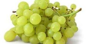 Fresh Grapes