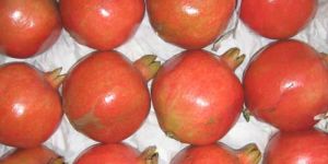 Fresh Pomegranate