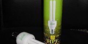 Wagnor U Shaped CFL Lights