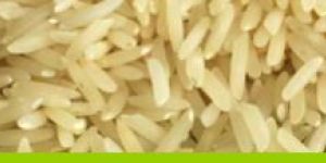 Non Basmati Rice