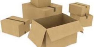 Plain Carton Box