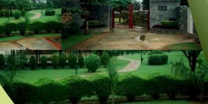 Horticulture Landscape Designing Services
