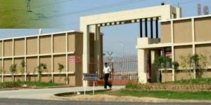 Irrigation Lay-Out Designing Services