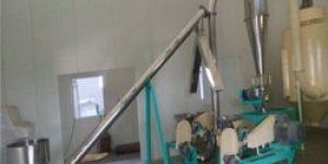Besan Plant