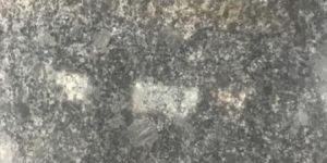 Steel Grey Granite Slabs