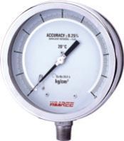 SS CASE TEST GAUGE