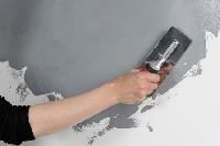 Wall Coating