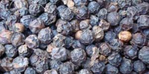 Black Pepper