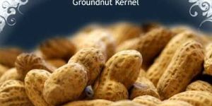 Groundnut Kernel