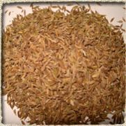 Cumin Seeds