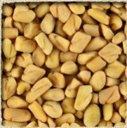 Fenugreek