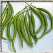 Fresh Green Chilly