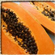 Papaya