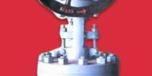 Globe Valve