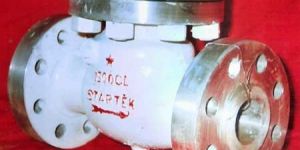 Swing Check Valve