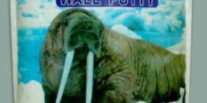 Cement Based Wall Putty