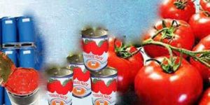 Tomato Paste