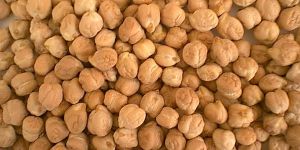White Chickpeas