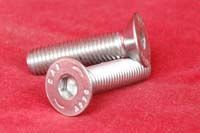 SS Allen Socket CSK Head Screw