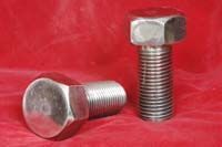 SS Hex Bolts