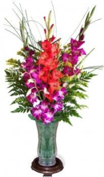 Gladiolus Flower