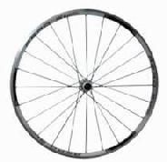 Bicycle Rims