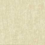 Polished Vitrified Tiles